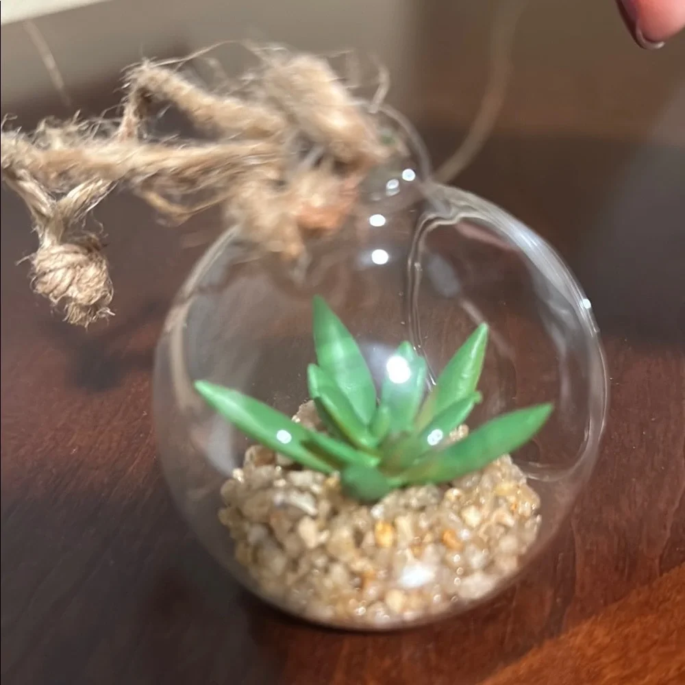 Glass Hanging Terrarium with Faux Succulent